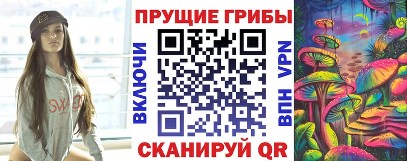 где купить наркоту  kraken сайт  Псилоцибиновые грибы мицелий  Южа 